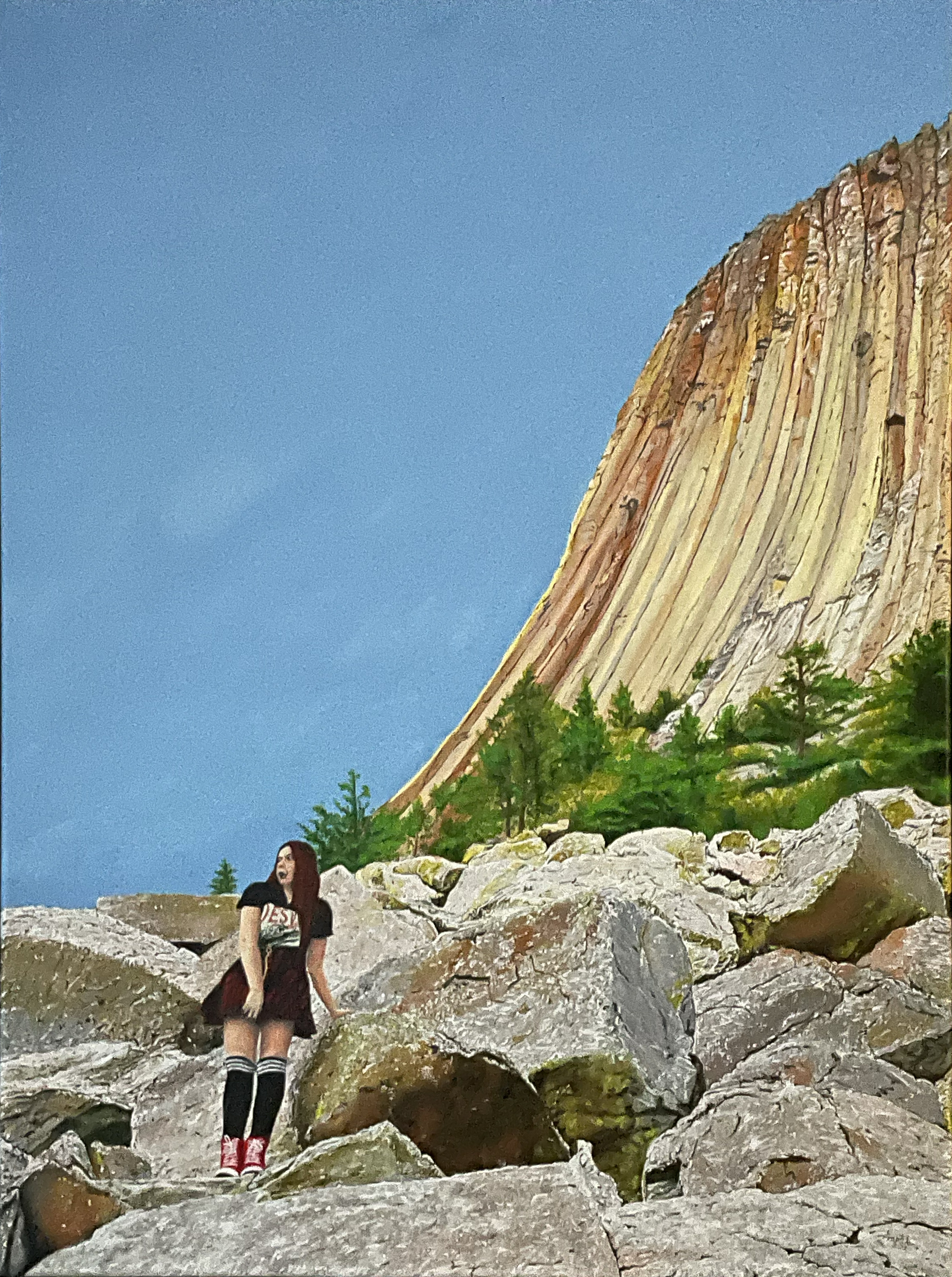 The Hitchhiker & The Boulder Field