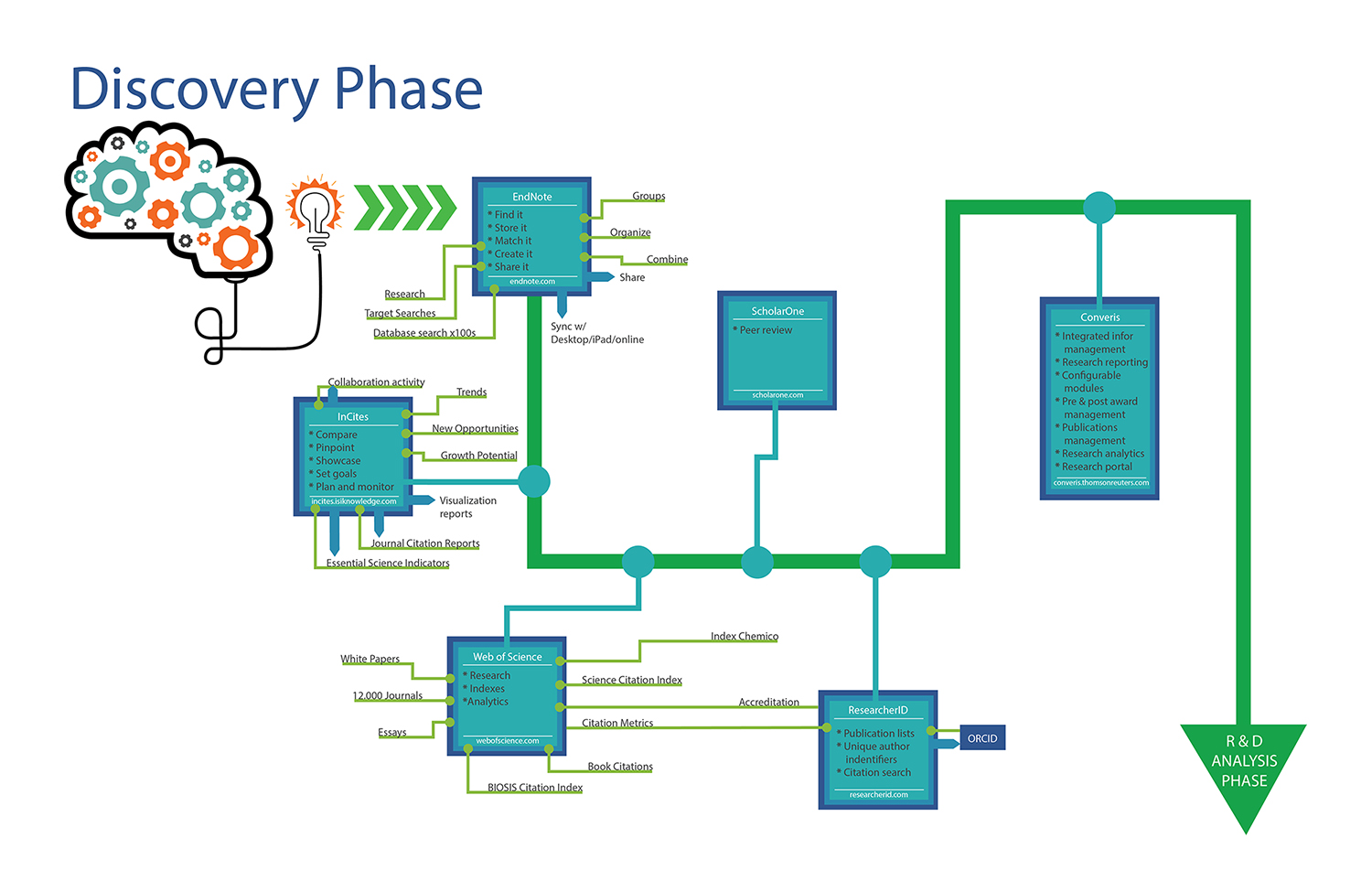 Discovery Phase Flowchart